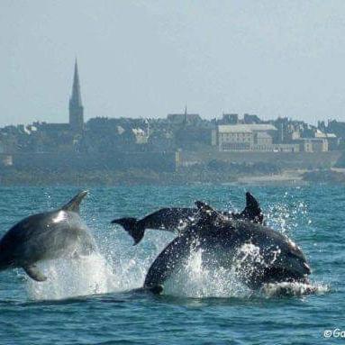 Apartmán Le Clos Boheme Saint-Malo Exteriér fotografie